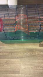 Gerbilkooi, Dieren en Toebehoren, Knaagdieren en Konijnen | Hokken en Kooien, Ophalen of Verzenden
