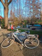 Raleigh Maddox herenfiets nexus 7, Gebruikt, Versnellingen, 53 tot 57 cm, Ophalen