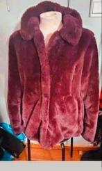 Didi paars jas, Paars, Maat 42/44 (L), Didi, Ophalen of Verzenden