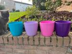 Kleurrijke Bloempotten Set, Ophalen, Kunststof, Minder dan 30 cm, Minder dan 60 cm