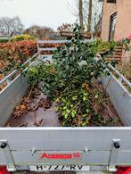 Hulst takken gratis af te halen, Ophalen, Gebruikt