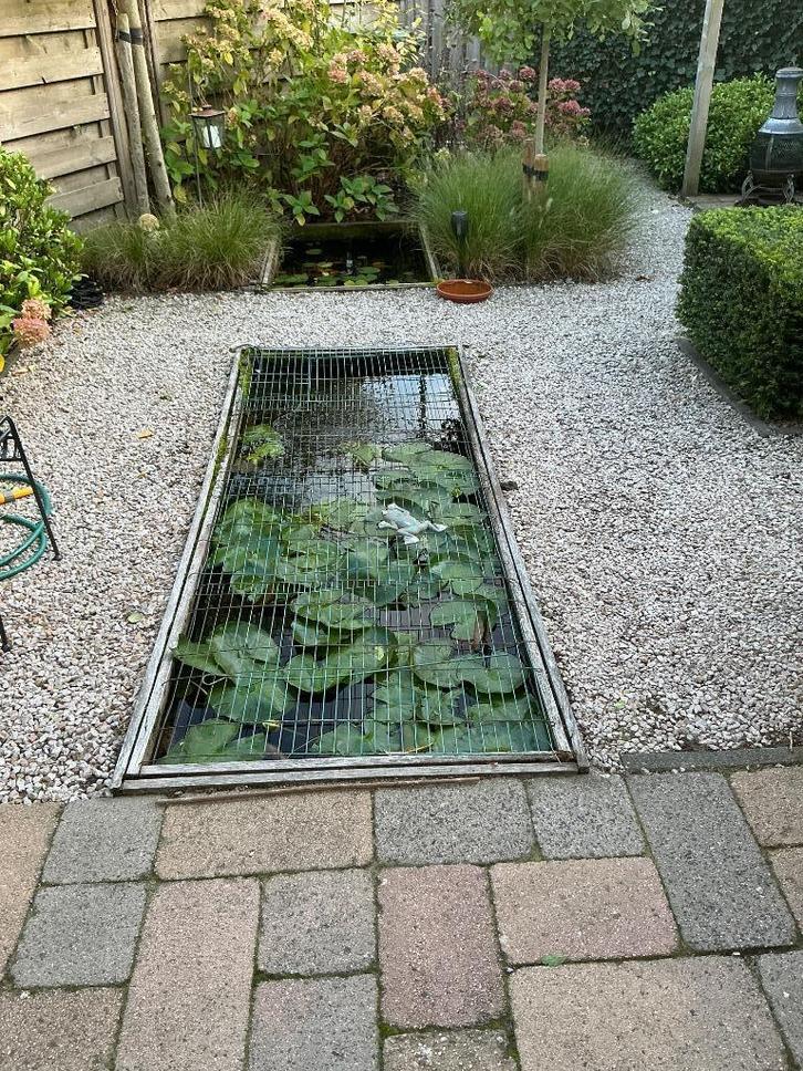 aangeboden vijver vissen + pompen, Tuin en Terras, Vijvers, Gebruikt, Ophalen