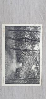 Oude Ansichtkaart Nes Ameland - Bospad 1938, Antiek en Kunst, Ophalen of Verzenden