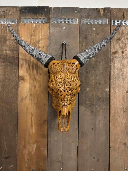 Mooie stoere gegraveerde koe schedel, Verzamelen, Dierenverzamelingen, Nieuw, Schedel, Overige soorten, Ophalen of Verzenden