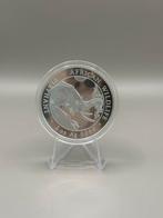 Somalië Elefant - 2023 - 2 OZ, Ophalen of Verzenden, Zilver