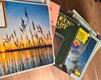 LP's, Cd's en Dvd's, Vinyl | Pop, 1960 tot 1980, Zo goed als nieuw, Ophalen, 12 inch