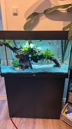 juwel rio 125, Dieren en Toebehoren, Vissen | Aquaria en Toebehoren, Ophalen of Verzenden, Zo goed als nieuw, Leeg aquarium