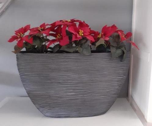 Capi Europe bloempot Nature-Rib zwart, Tuin en Terras, Bloempotten, Zo goed als nieuw, Steen, Binnen, Minder dan 40 cm, 40 cm of meer
