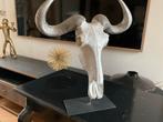 Decoratieve Buffel Schedel, Ophalen of Verzenden, Gebruikt