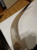 Een grote Stier hoorn, 65cm, Ophalen of Verzenden, Zo goed als nieuw