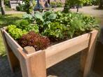Moestuinbakken met polyester binnenbak en waterbuffersysteem, Ophalen, Zo goed als nieuw, Kweekbak