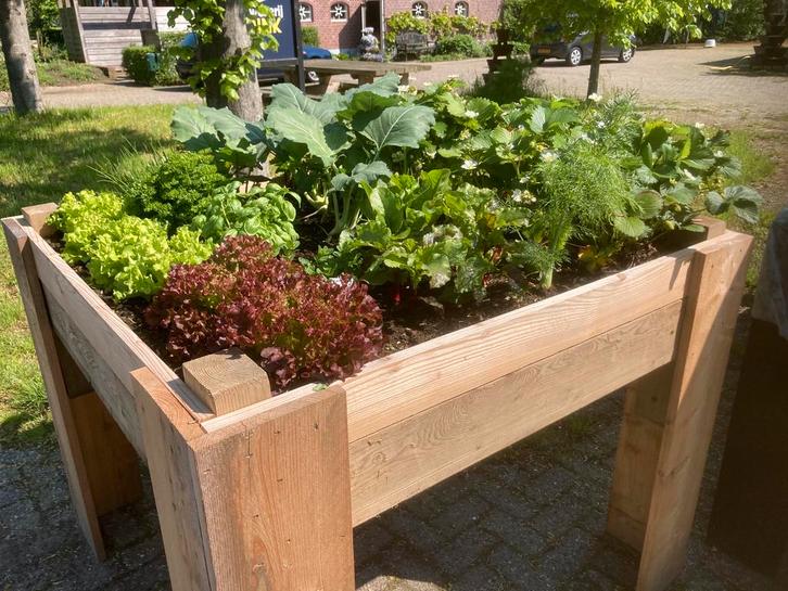 Moestuinbakken met polyester binnenbak en waterbuffersysteem, Tuin en Terras, Kweekspullen, Zo goed als nieuw, Kweekbak, Ophalen
