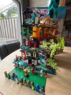 LEGO Ninjago  City Gardens, Kinderen en Baby's, Speelgoed | Duplo en Lego, Ophalen of Verzenden, Zo goed als nieuw, Complete set