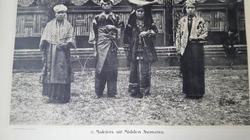 200 kleynenberg schoolplaten 1912/13 beschikbaar voor biedingen