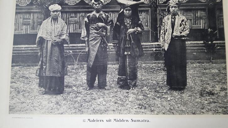200 kleynenberg schoolplaten 1912/13, Antiek en Kunst, Antiek | Schoolplaten, Geschiedenis, Ophalen of Verzenden