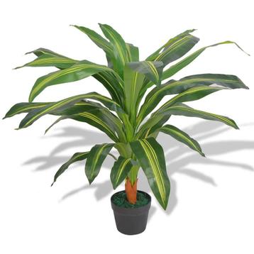 Kunstplant kamerplant dracena met pot 90 cm GRATIS BEZORGD! beschikbaar voor biedingen