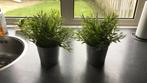 Twee kunstplanten in overpot van ikea, Huis en Inrichting, Woonaccessoires | Kunstplanten en Kunstbloemen, Ophalen, Zo goed als nieuw