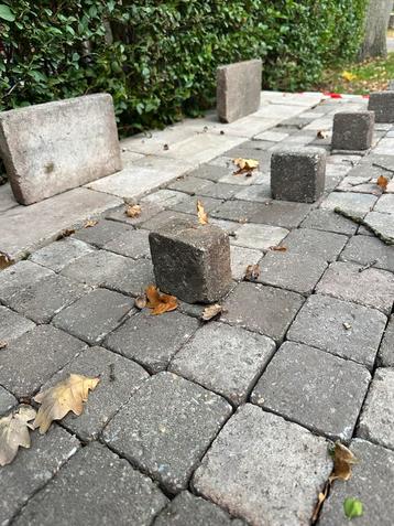 Geatis afhalen: Tegels en vierkante stenen beschikbaar voor biedingen