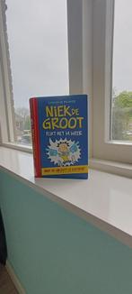 Niek de Groot- Flikt het'm weer deel 2, Ophalen, Zo goed als nieuw, Lincoln Peirce, Fictie