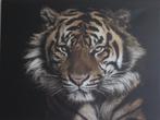 Foto op canvas: Tijger 120 x 90 centimeter (z.g.a.n.), Ophalen, Zo goed als nieuw, 100 tot 125 cm, Foto of Poster