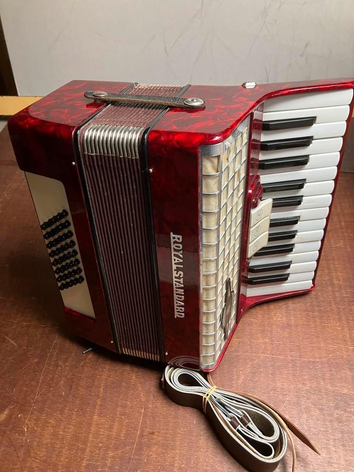 Omhangen en spelen maar ,  ideaal voor Carnaval -  met mp3, Muziek en Instrumenten, Accordeons, Gebruikt, Toetsaccordeon, Overige formaten