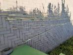 Bamboestokken, Doe-het-zelf en Verbouw, Hout en Planken, Verzenden, Overige typen, Nieuw, 300 cm of meer