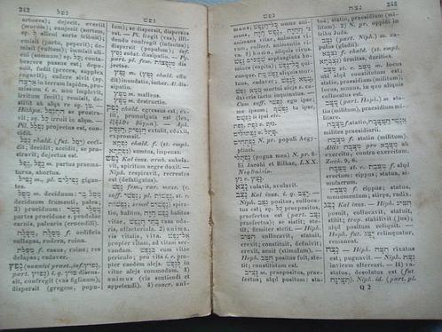 Lexicon Hebraicum et Chaldaicum in libros veteris testamenti, Boeken, Godsdienst en Theologie, Gelezen, Christendom | Katholiek