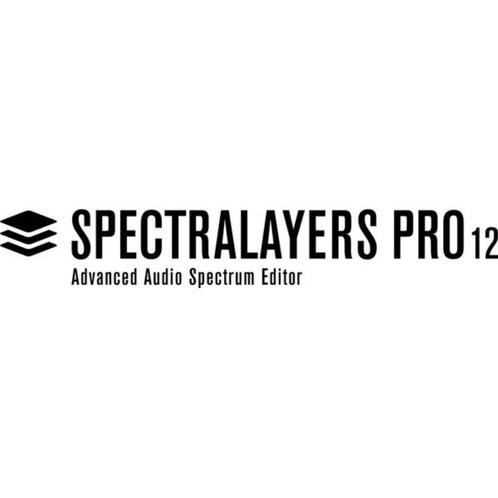 Steinberg SpectraLayers Pro 12, Computers en Software, Audio-software, Zo goed als nieuw, Windows, Verzenden