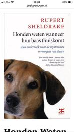 Honden weten wanneer hun baas thuiskomt, R. Sheldrake, Honden, Ophalen of Verzenden, Zo goed als nieuw
