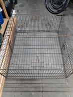 Dierenren, Dieren en Toebehoren, Ophalen, 110 cm of meer, Minder dan 60 cm