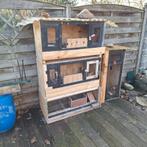 Kweekbakken Kwartels of kleine kippensoorten zoals serama's, Dieren en Toebehoren, Geslacht onbekend, Overige soorten