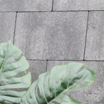 GeoPlano 20x30x6 cm Le Mans kleurechte bestrating van MBI beschikbaar voor biedingen