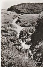ameland- duinravijn, Ophalen of Verzenden, Friesland