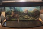 Aquarium met achterwandposter, Dieren en Toebehoren, Vissen | Aquaria en Toebehoren, Ophalen, Gebruikt, Leeg aquarium
