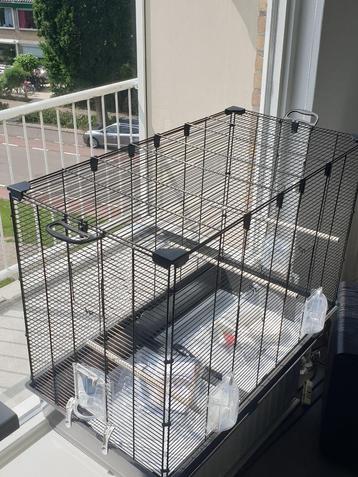 Vogelkooi middel groot beschikbaar voor biedingen