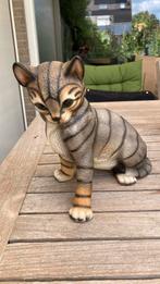 Harvey Knox tabby kat, Ophalen