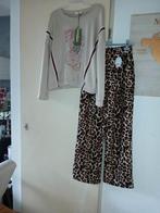 Beige Trui met glitters en panter broek met wijde pijp., Kleding | Dames, Ophalen of Verzenden, Nieuw, Beige