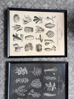 2x Nieuwe Knoppäng Schilderijen, Ophalen, Nieuw