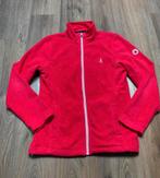 Bjornson dames vest rood / L, Ophalen of Verzenden, Zo goed als nieuw, Maat 42/44 (L), Rood