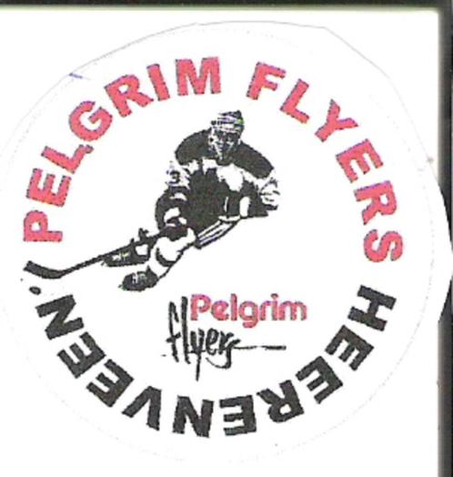 Gezocht ijshockey sticker pelgrim flyers Heerenveen, Sport en Fitness, IJshockey, Zo goed als nieuw, Overige typen, Ophalen of Verzenden