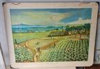 8 vintage schoolplaten zie omschrijving, Ophalen, Natuur en Biologie