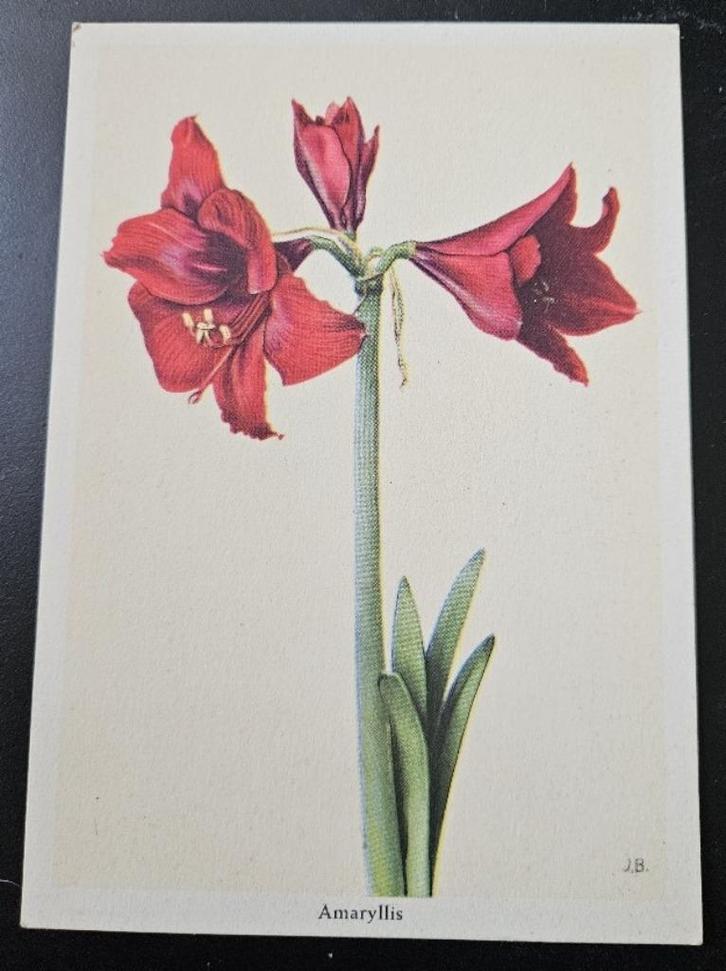 Verzameling - Planten Kaarten, Verzamelen, Complete verzamelingen en Collecties, Verzenden