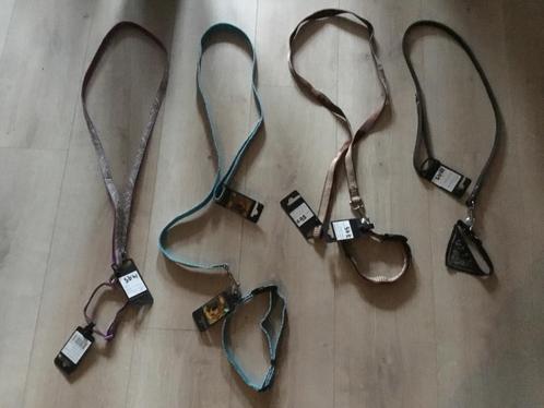 Hondenriem en halsband, Dieren en Toebehoren, Hondenriemen, Nieuw, Hondenriem, Ophalen of Verzenden