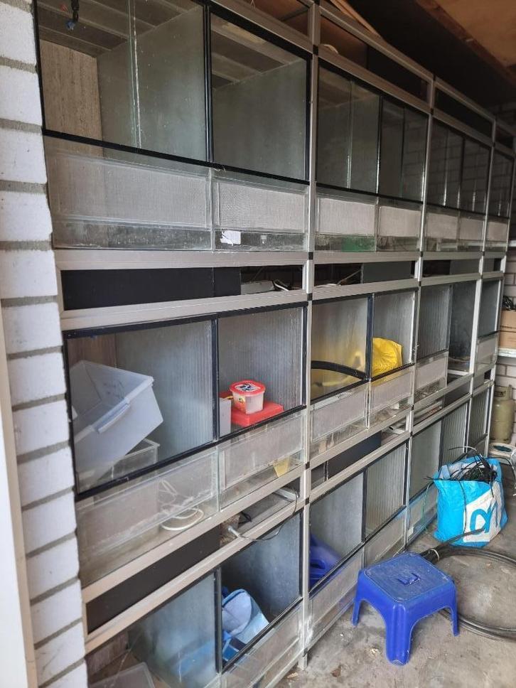 Stelling + terrariums, Dieren en Toebehoren, Reptielen en Amfibieën | Toebehoren, Gebruikt, Terrarium of Paludarium, Ophalen