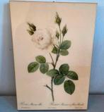 Antiek wanddecoratie, Antiek en Kunst, Antiek | Wandborden en Tegels, Ophalen