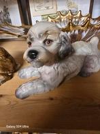 Goebel Hondje, Ophalen