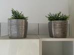 2 zilveren planten potjes, Huis en Inrichting, Kamerplanten, Ophalen, Vetplant, In pot, Minder dan 100 cm