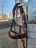 Bruin halster met bond + touw Pony, Ophalen of Verzenden, Gebruikt, Overige soorten