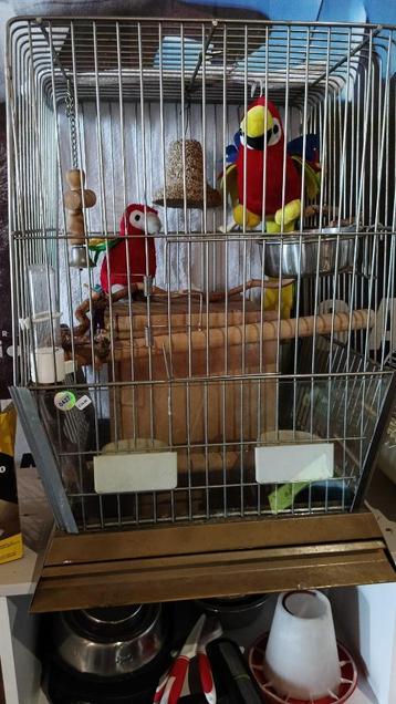 Vogelkooi XXL met villa-nestkast – penthouse voor parkiet beschikbaar voor biedingen