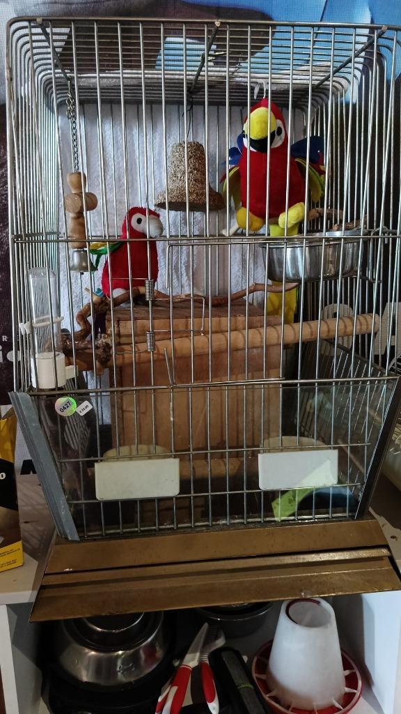 Vogelkooi XXL met villa-nestkast – penthouse voor parkiet, Dieren en Toebehoren, Vogels | Hokken en Kooien, Gebruikt, Vogelkooi